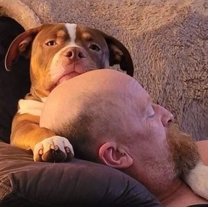 Meet your Posher, Alan